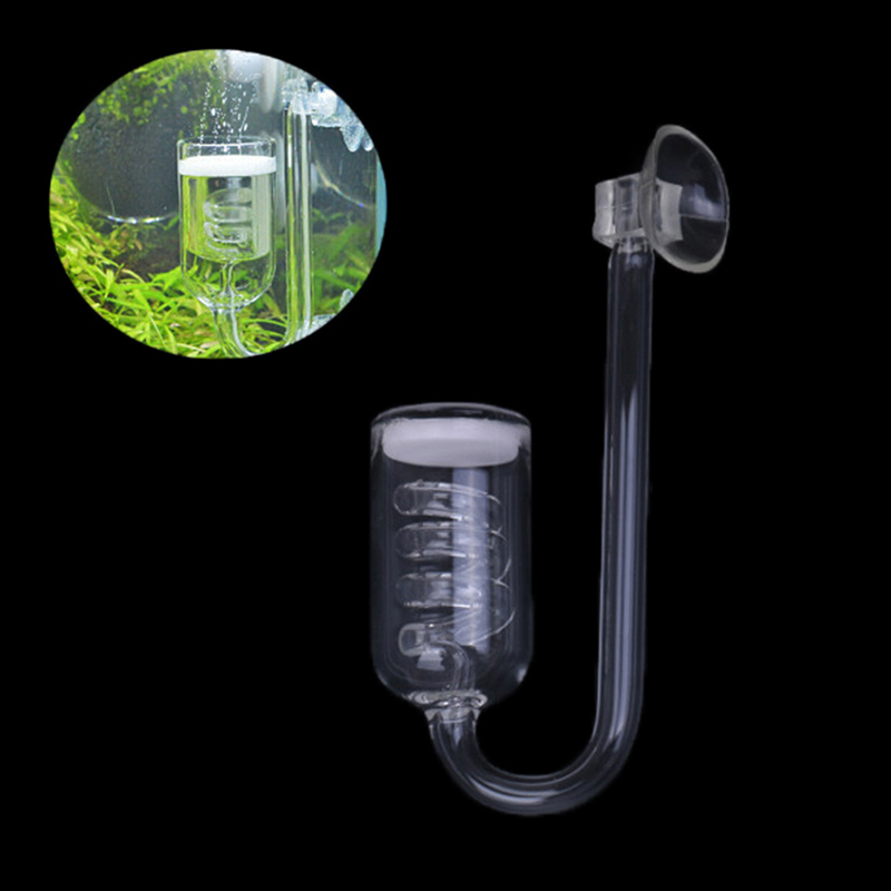 Fish Tank Aquarium Plant CO2 S - Aquarium Plant Echinodorus recension och pris