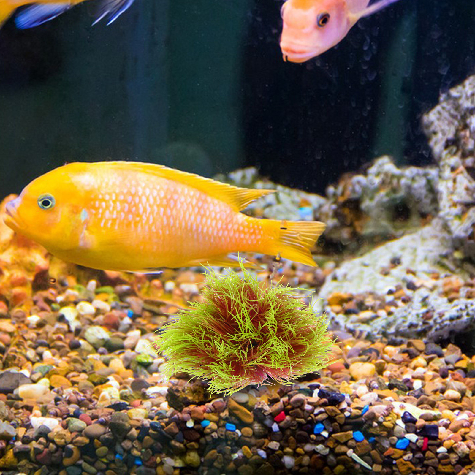 High Simulation Aquarium Plant - Aquarium Planted Tank Setup recension och pris