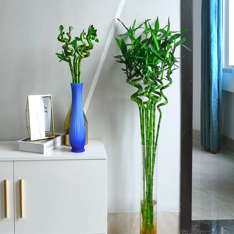 110cm 2PC Artificial Lucky Bam - Aquarium Plant Echinodorus recension och pris