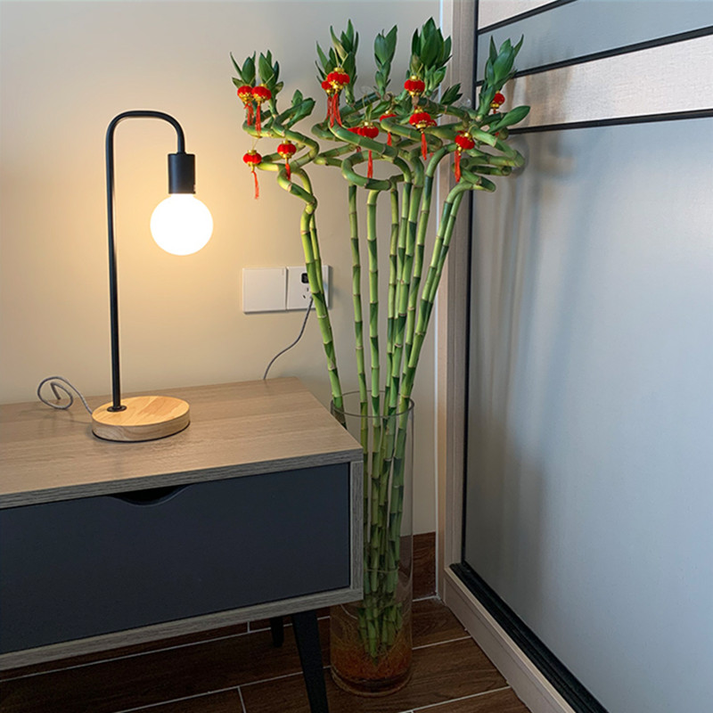 110cm 2PC Artificial Lucky Bam - Aquarium Plant Echinodorus recension och pris