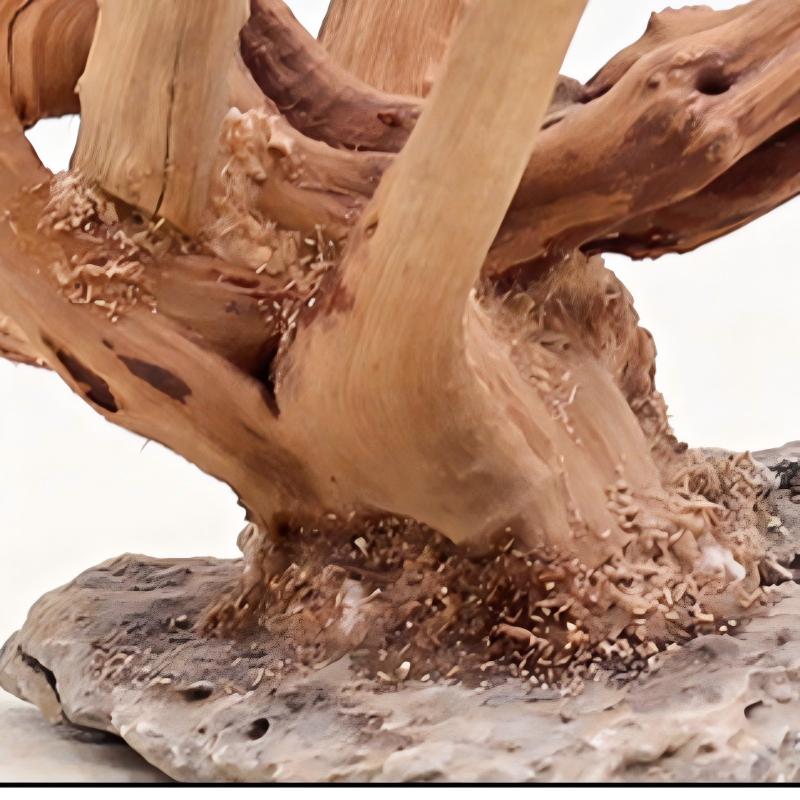 1PC Aquarium Landscaping Wood  - Aquarium Planted Soil recension och pris