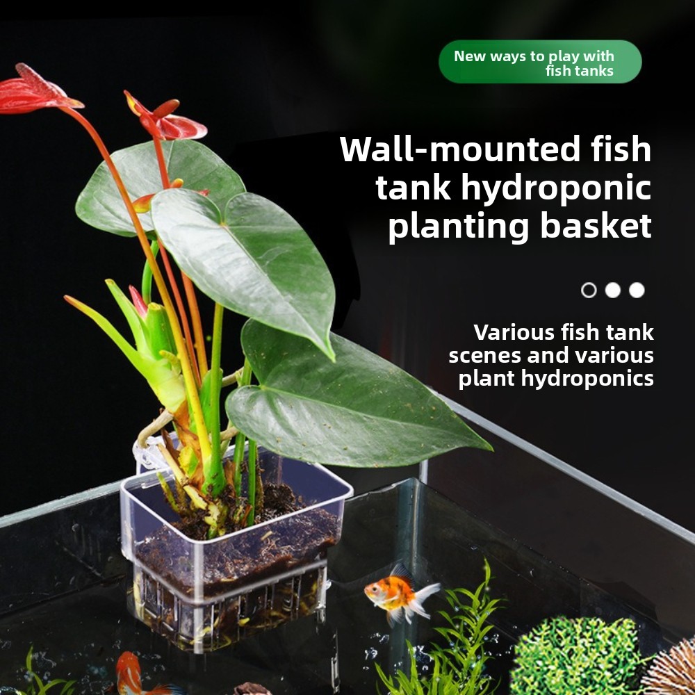 Aquarium Hydroponic Planting B - Aquarium Plant Grass recension och pris