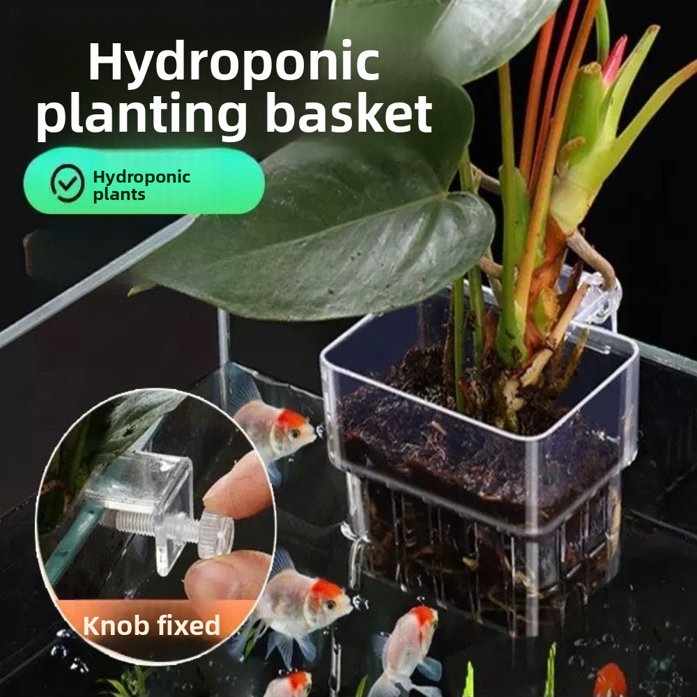 Aquarium Hydroponic Planting B - Aquarium Plant Grass recension och pris