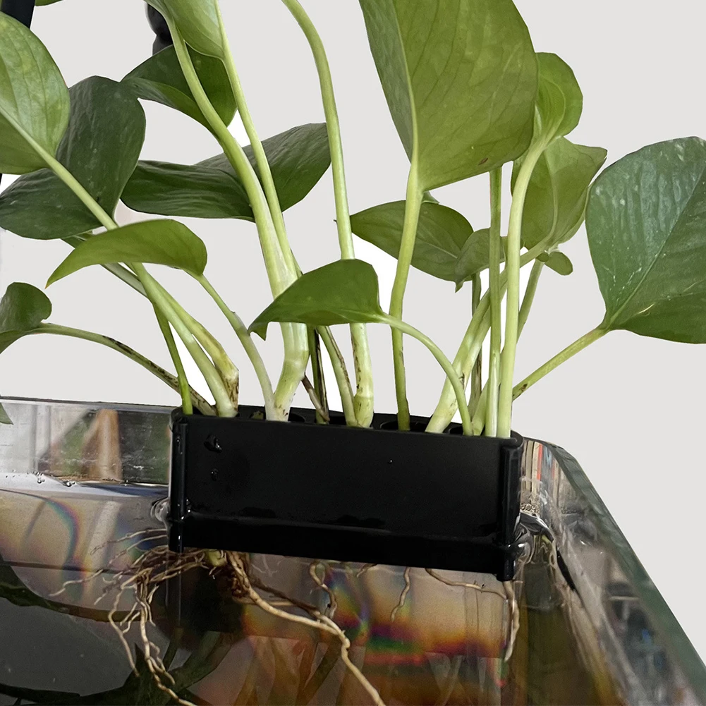 S/L Hanging Aquarium Plant Hol - Planted Aquarium Aquascape recension och pris