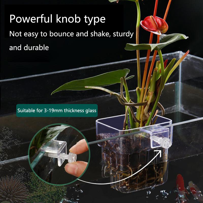 Aquarium Hydroponic Planting C - Aquarium Planted Tank Setup recension och pris