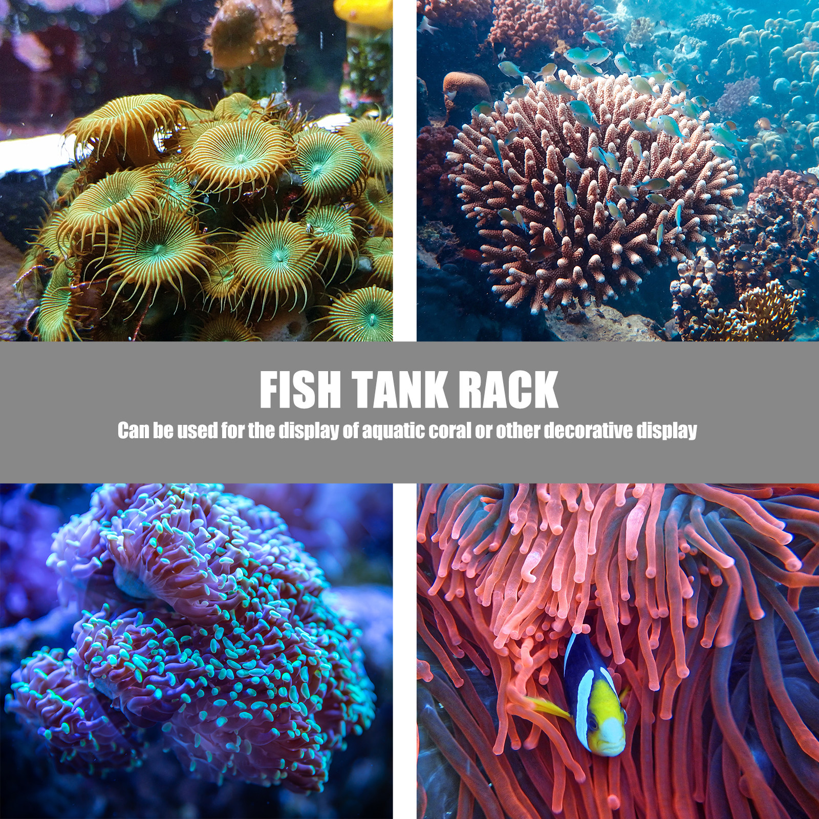1Pcs Coral Base Stylish Strong - Aquarium Planted Tank Setup recension och pris